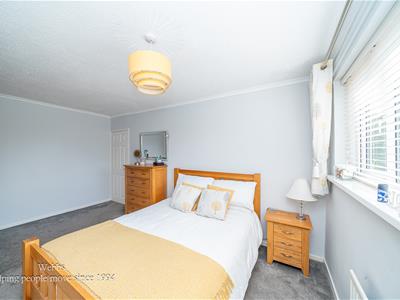 Picture 20